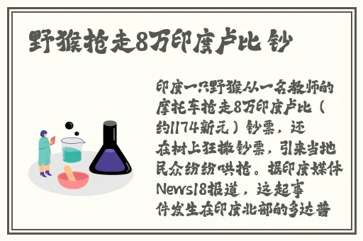 老司机试看午夜