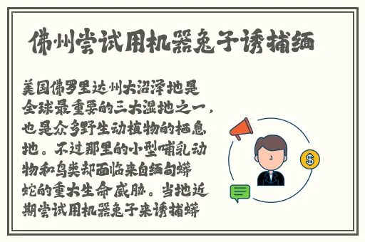 免费精产国品一二三产区m553